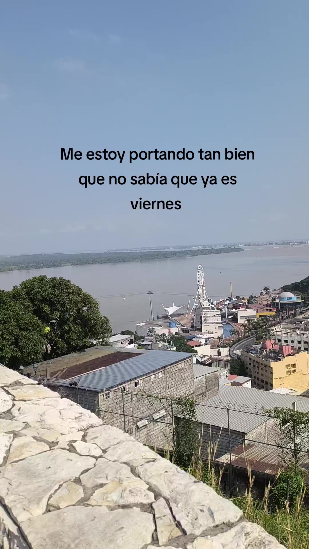@Dulce Alexiita