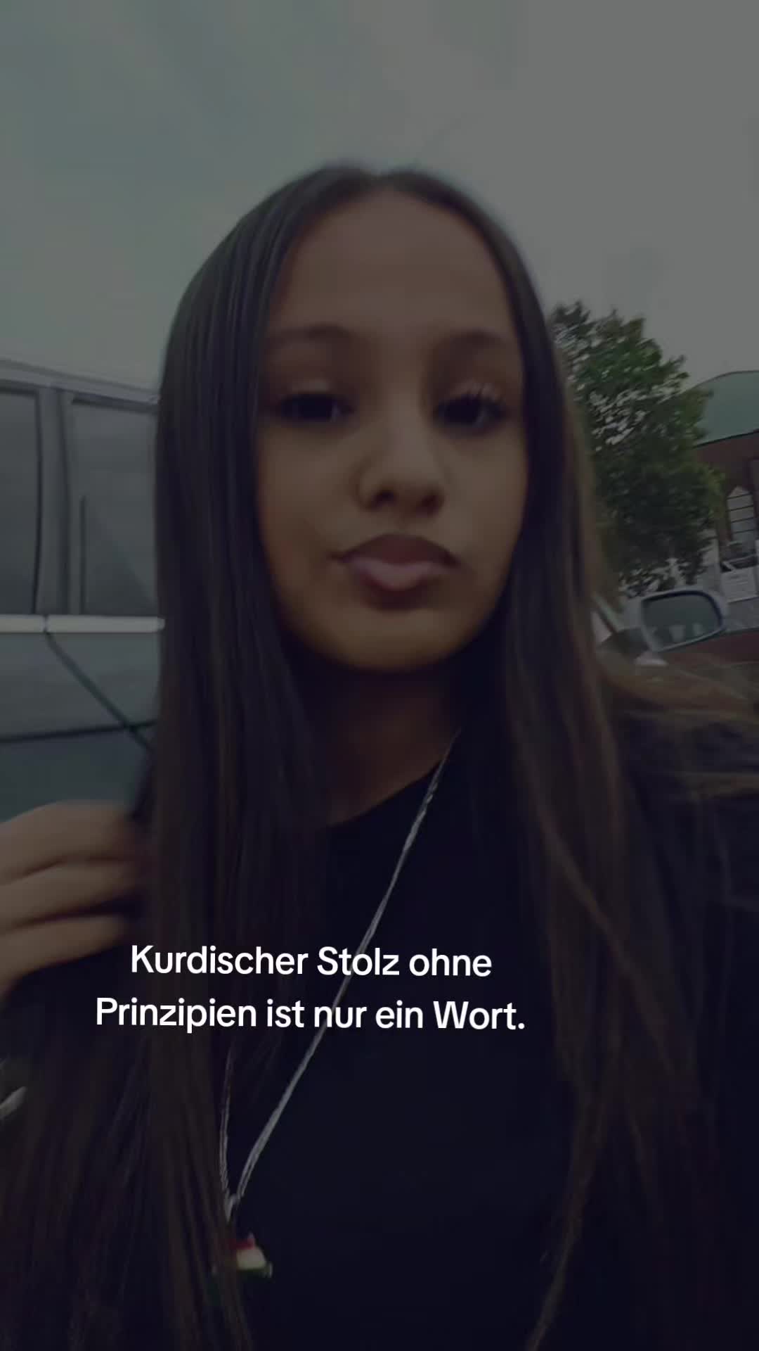 @tema_tema80