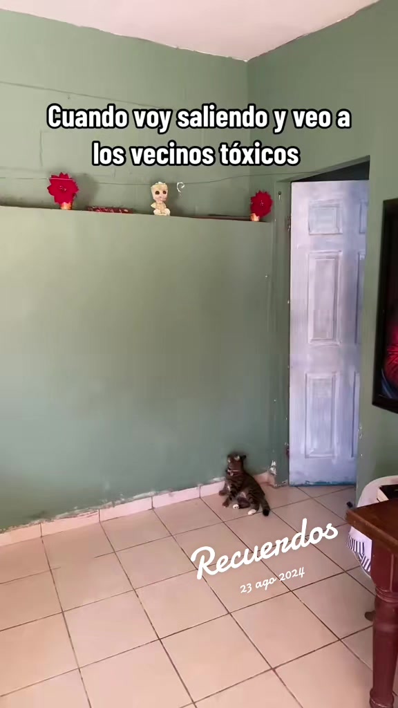 @Dianiita