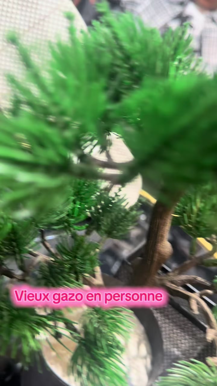 @Vieux Tôriô 224🇬🇳