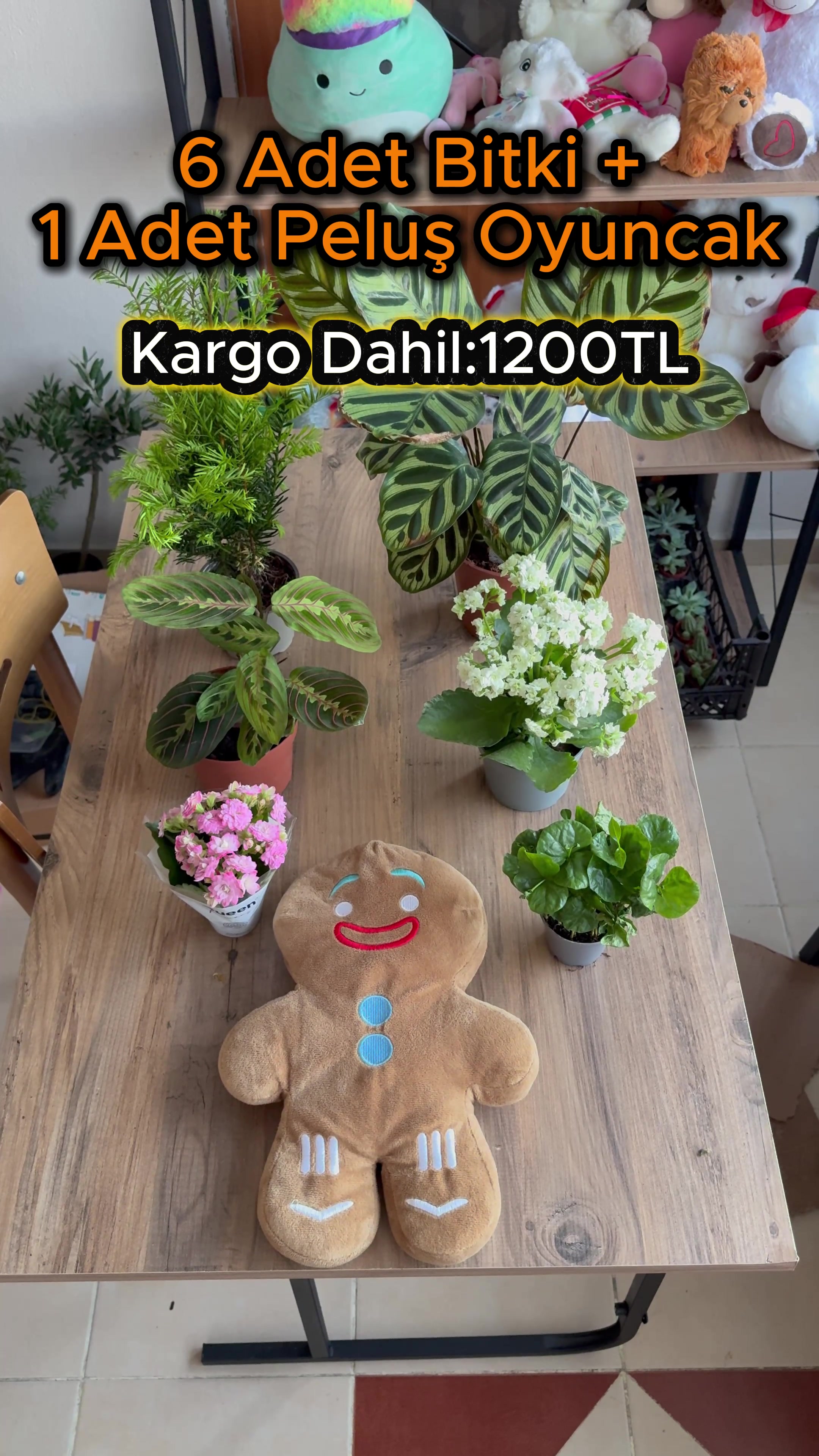 @Saklı bah&ccedil;e Bitkileri
