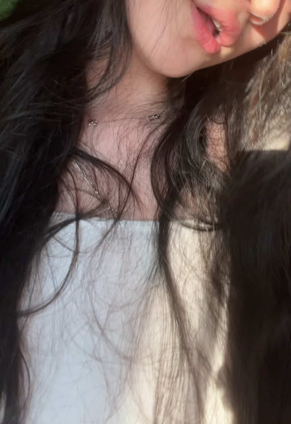@anfisa