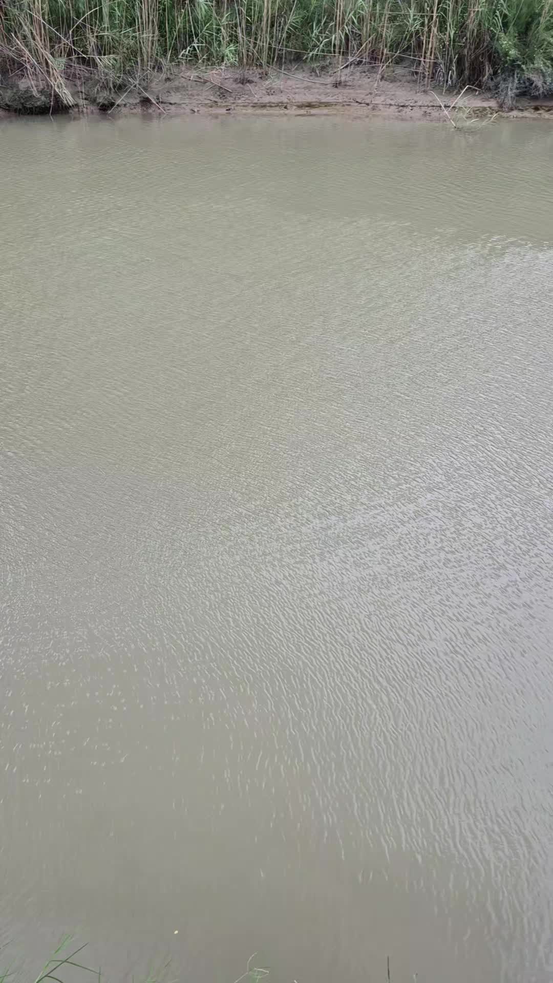 @monolitosmith2