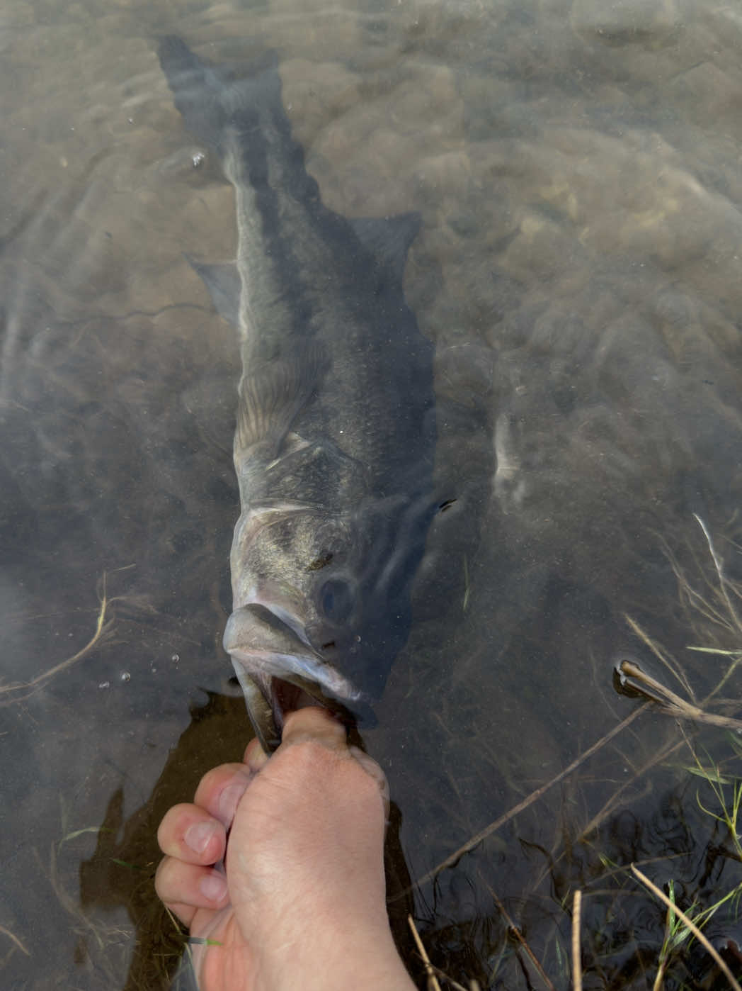@Fishin_With_B