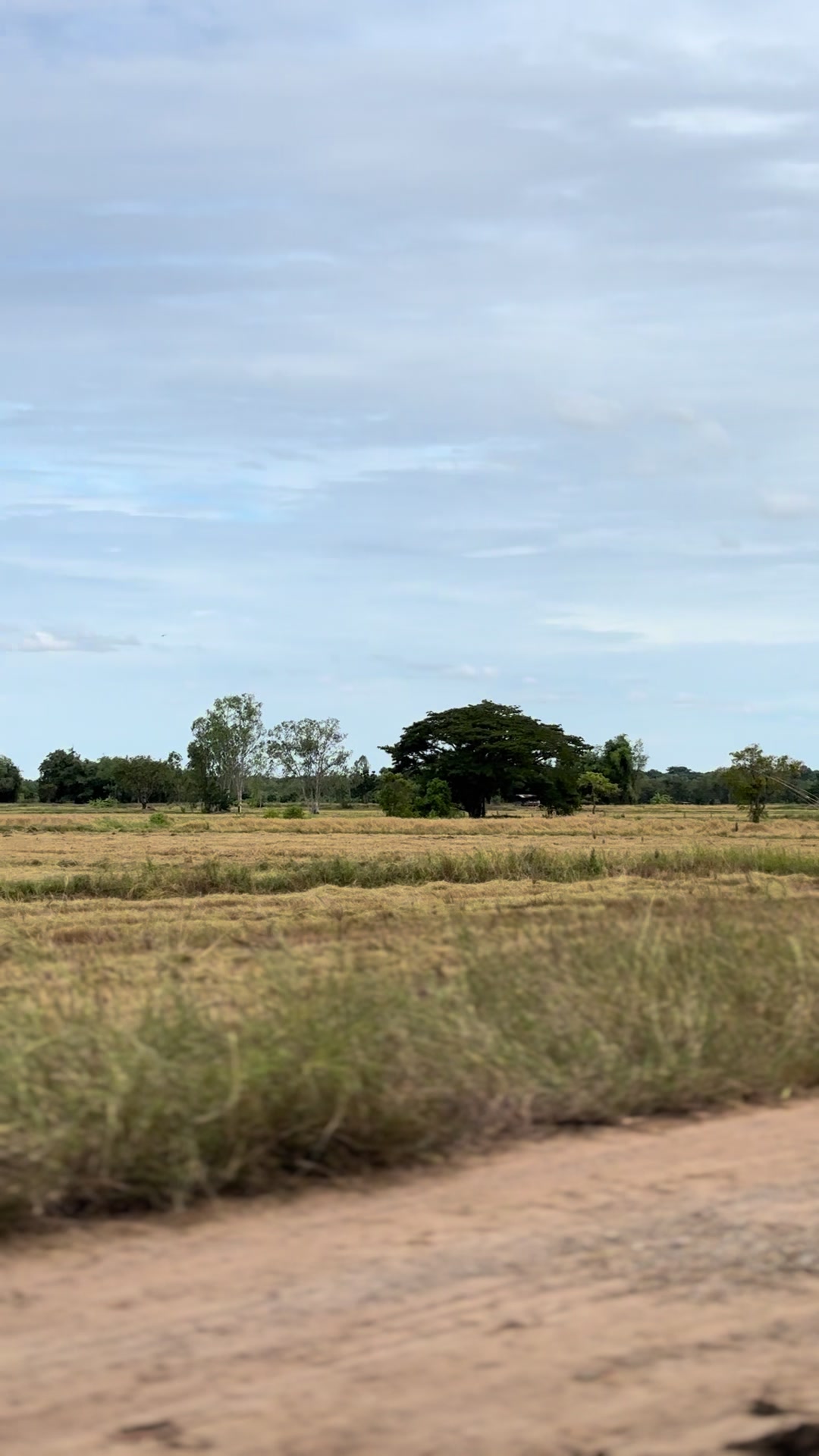 @เป้ นอนน้อยยย