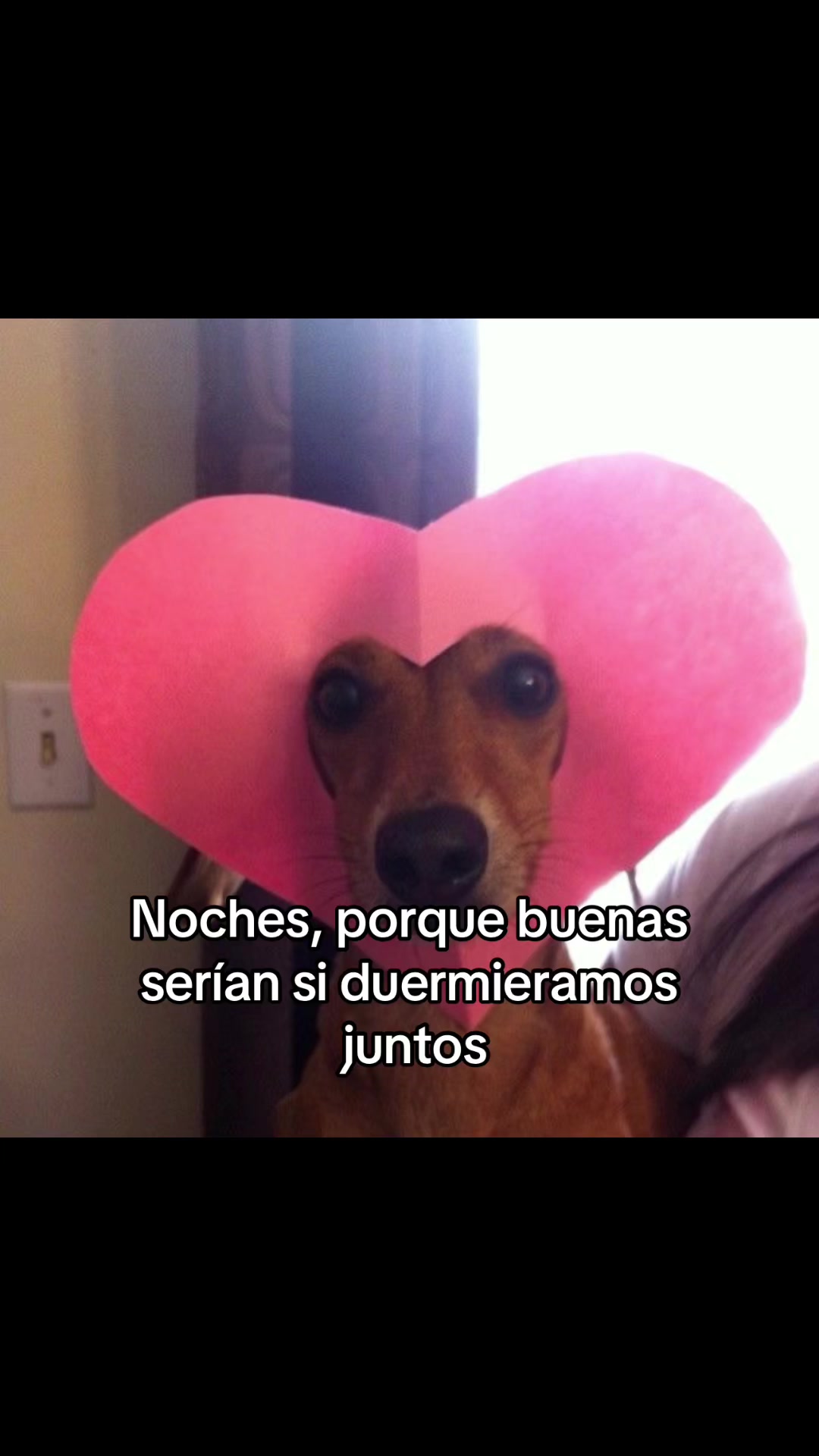 @saulburgosp2.0