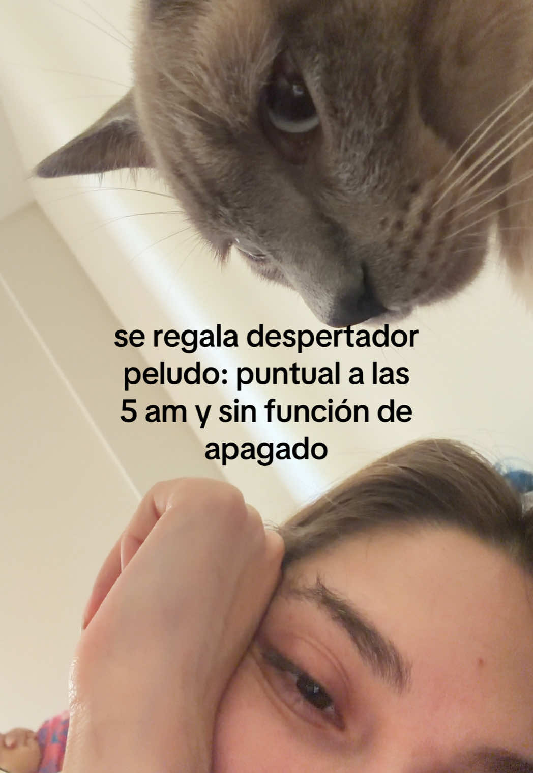 @✦ tamara camps ✦