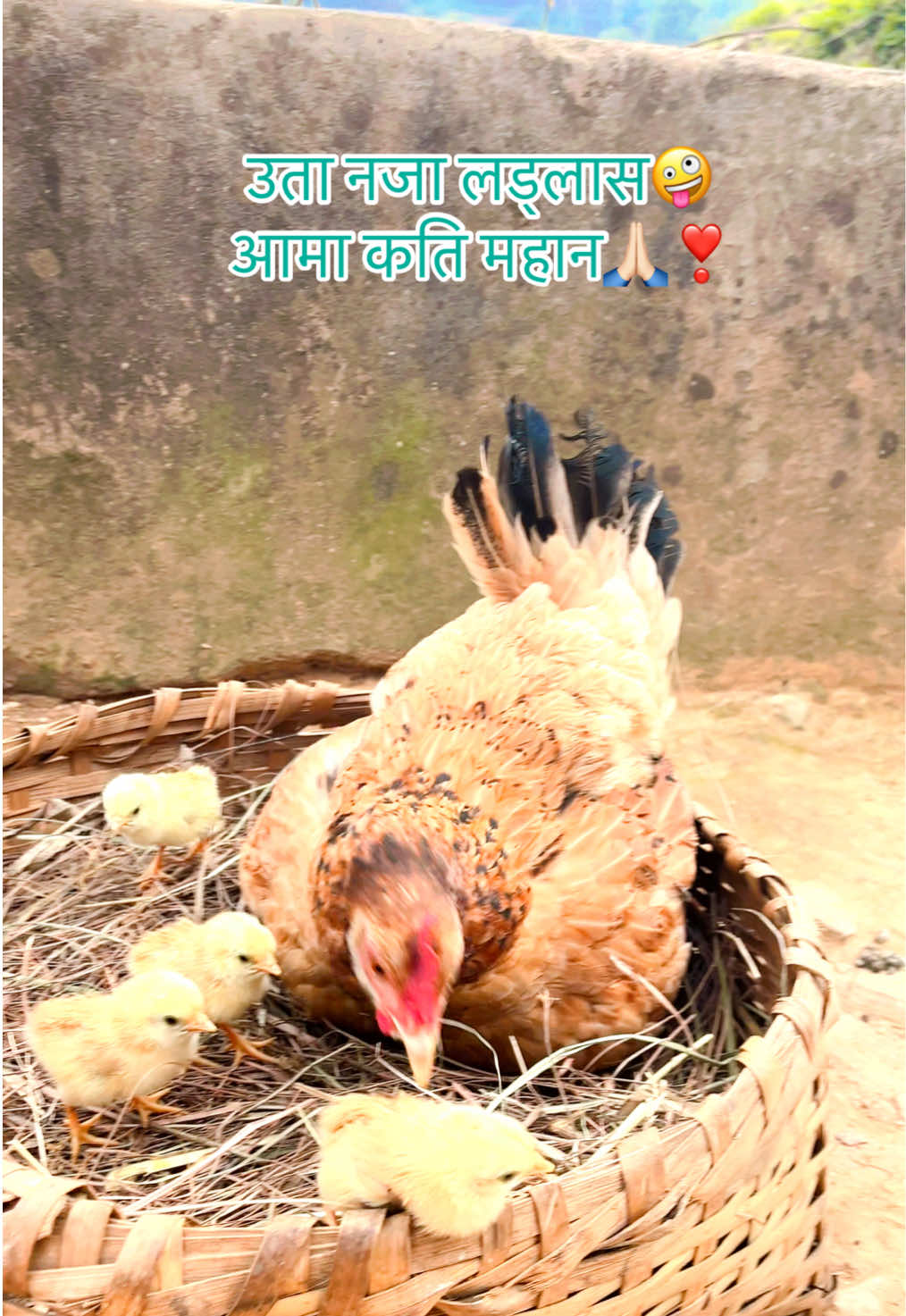 @Subas Pandey🏃&zwj;♂️🤷&zwj;♂️🇳🇵