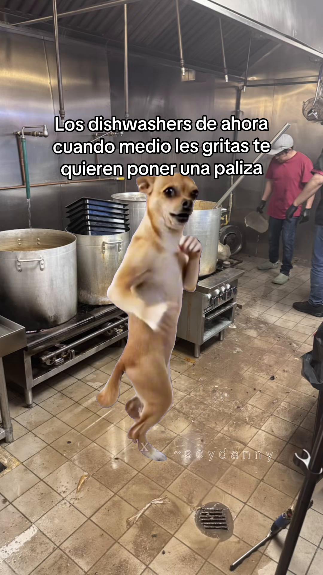 @𝗦𝗼𝘆 𝗗𝗮𝗻𝗻𝘆