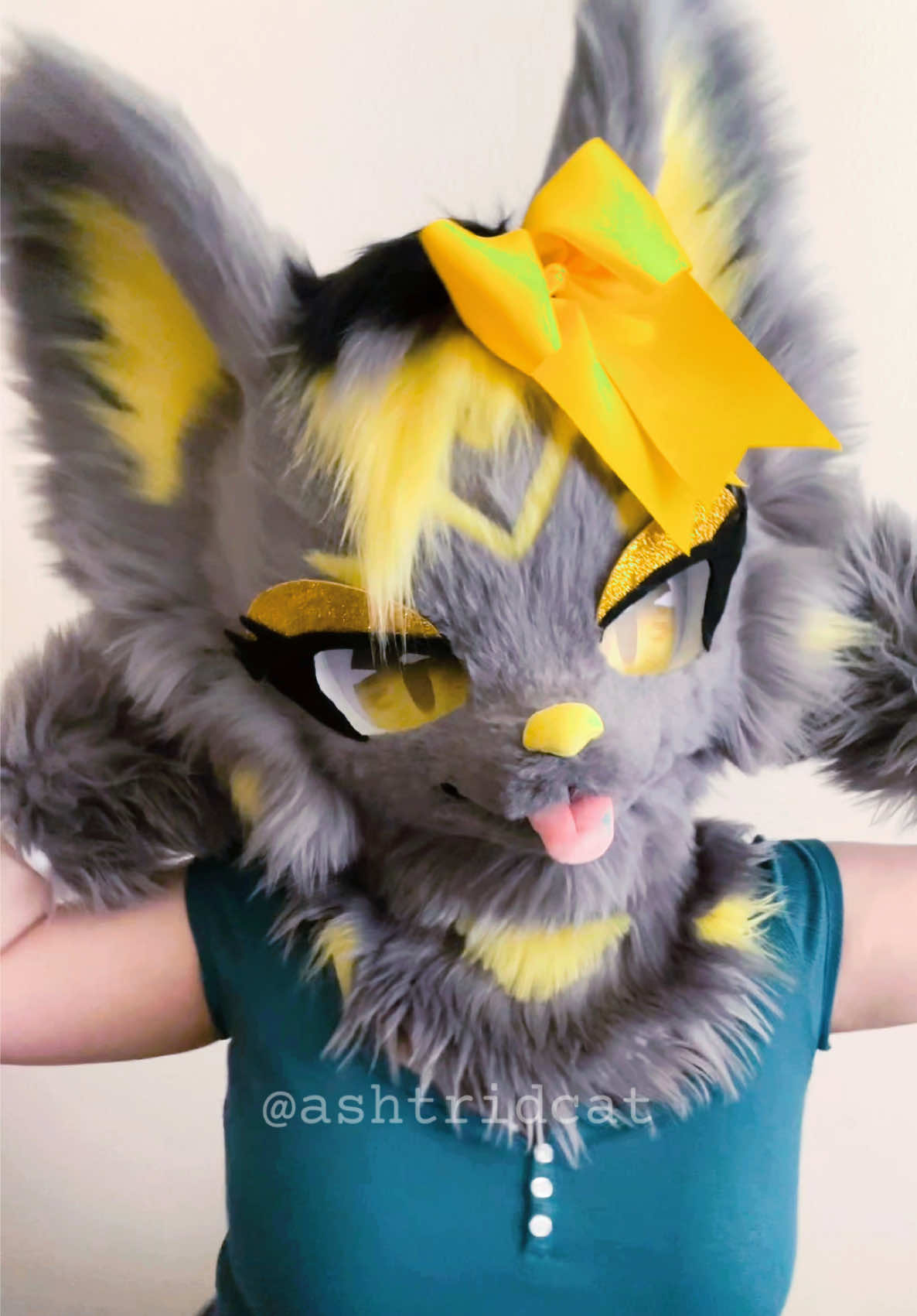 @AshtridCat