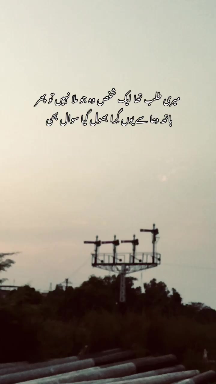 @>پاگل ہو <🦋