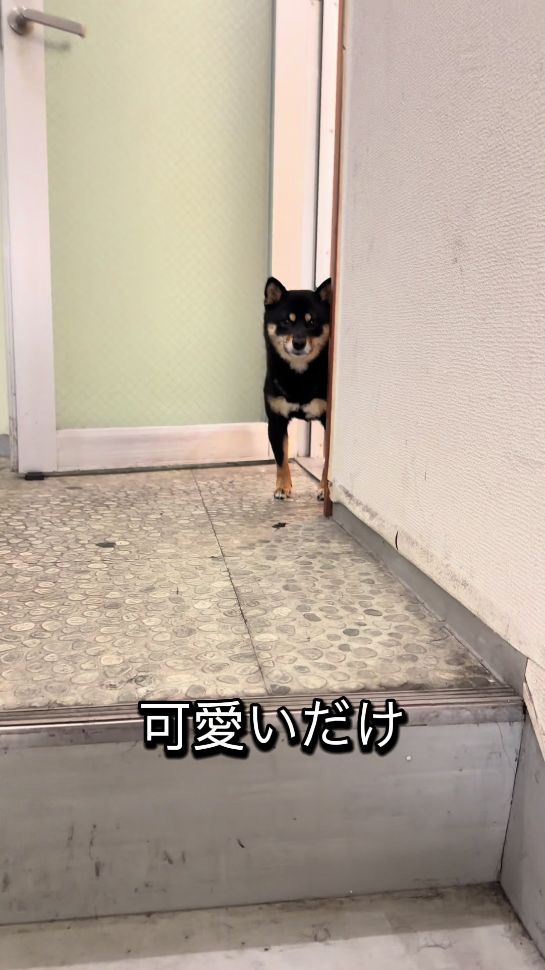 @ハナにバレるまで