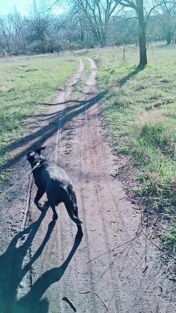 @Martin Lopez17109
