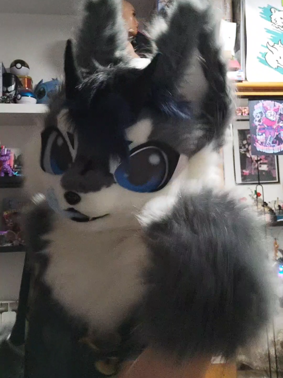 @Shysako.Fur