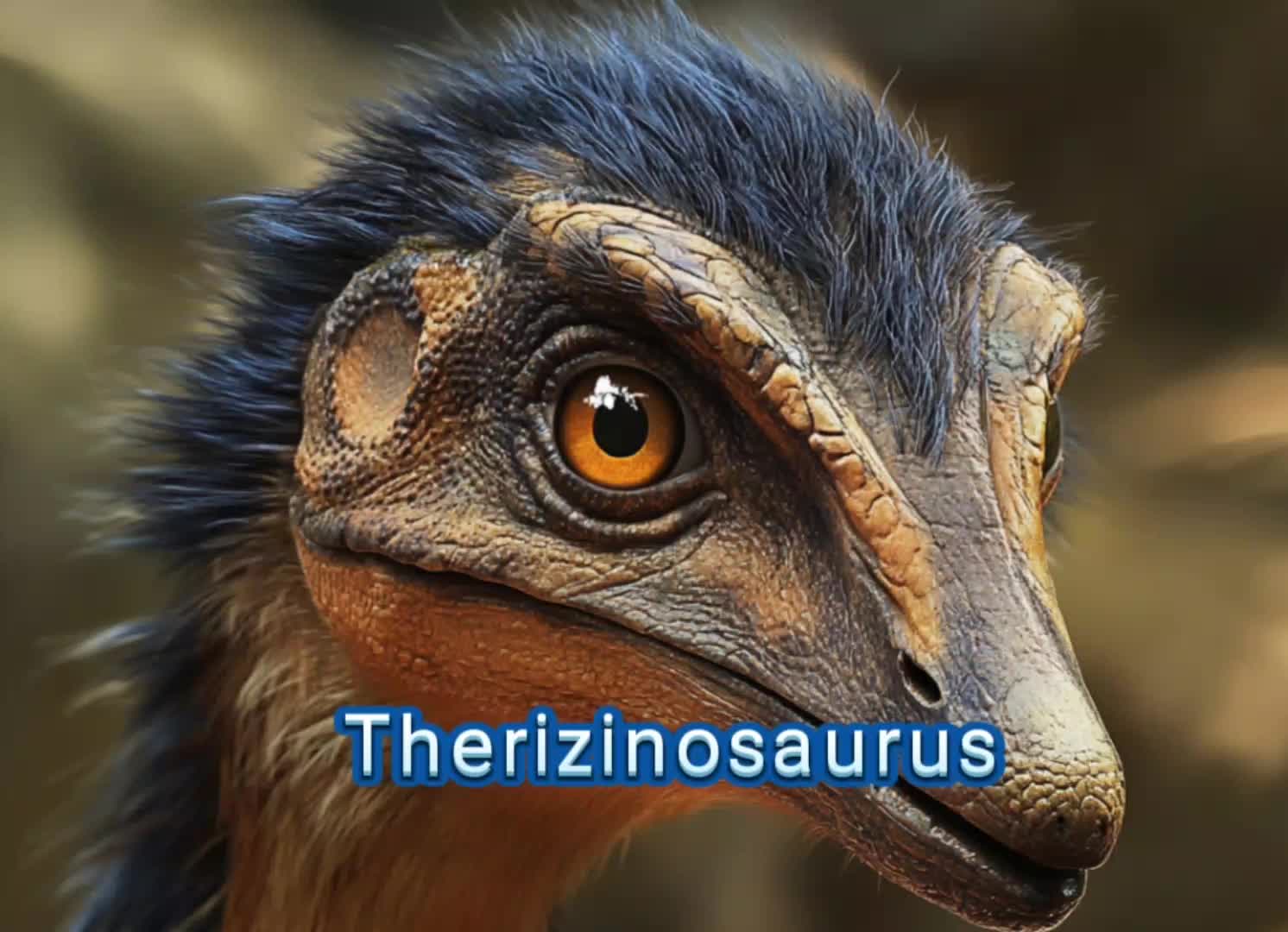 @MatrexDino Kids