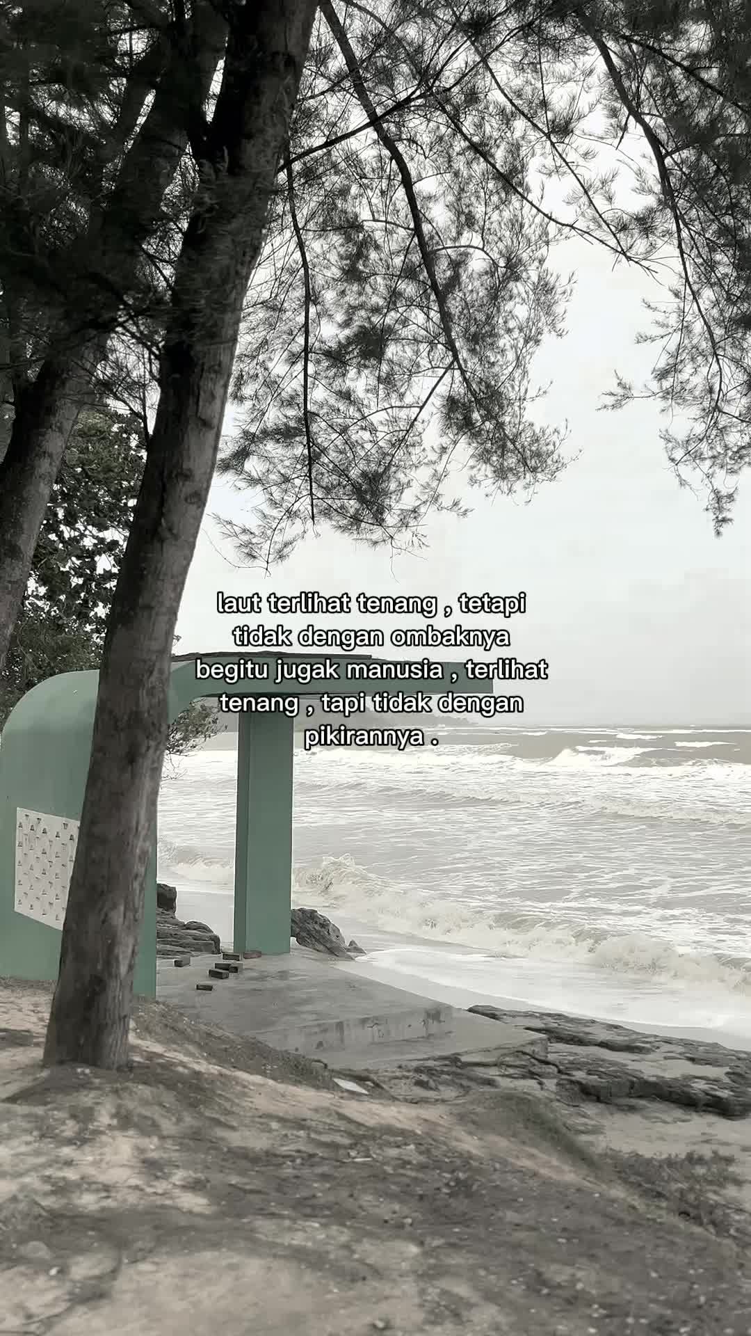 @คาดิ เรดซวน
