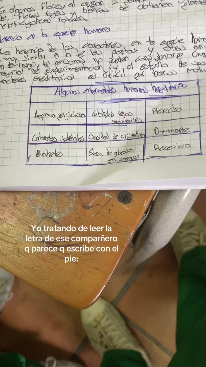 @Stefy Suárez