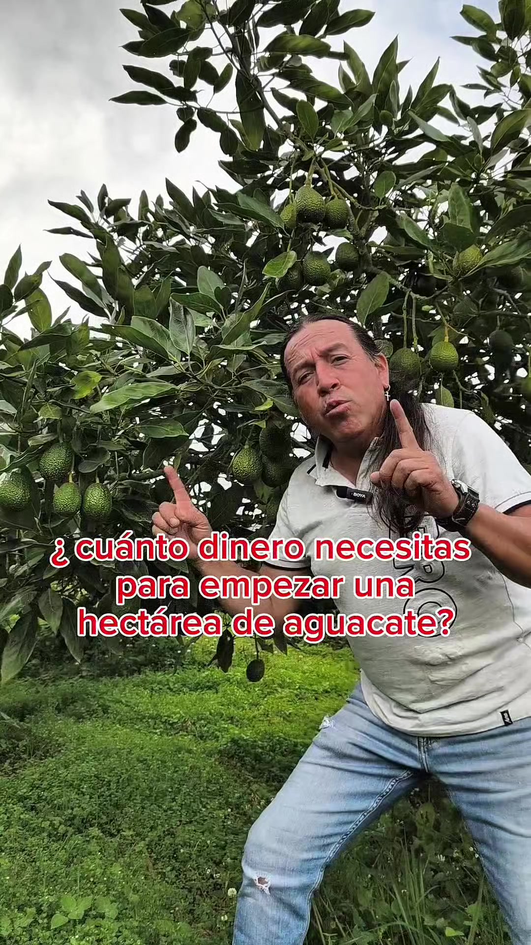 @tour del aguacate