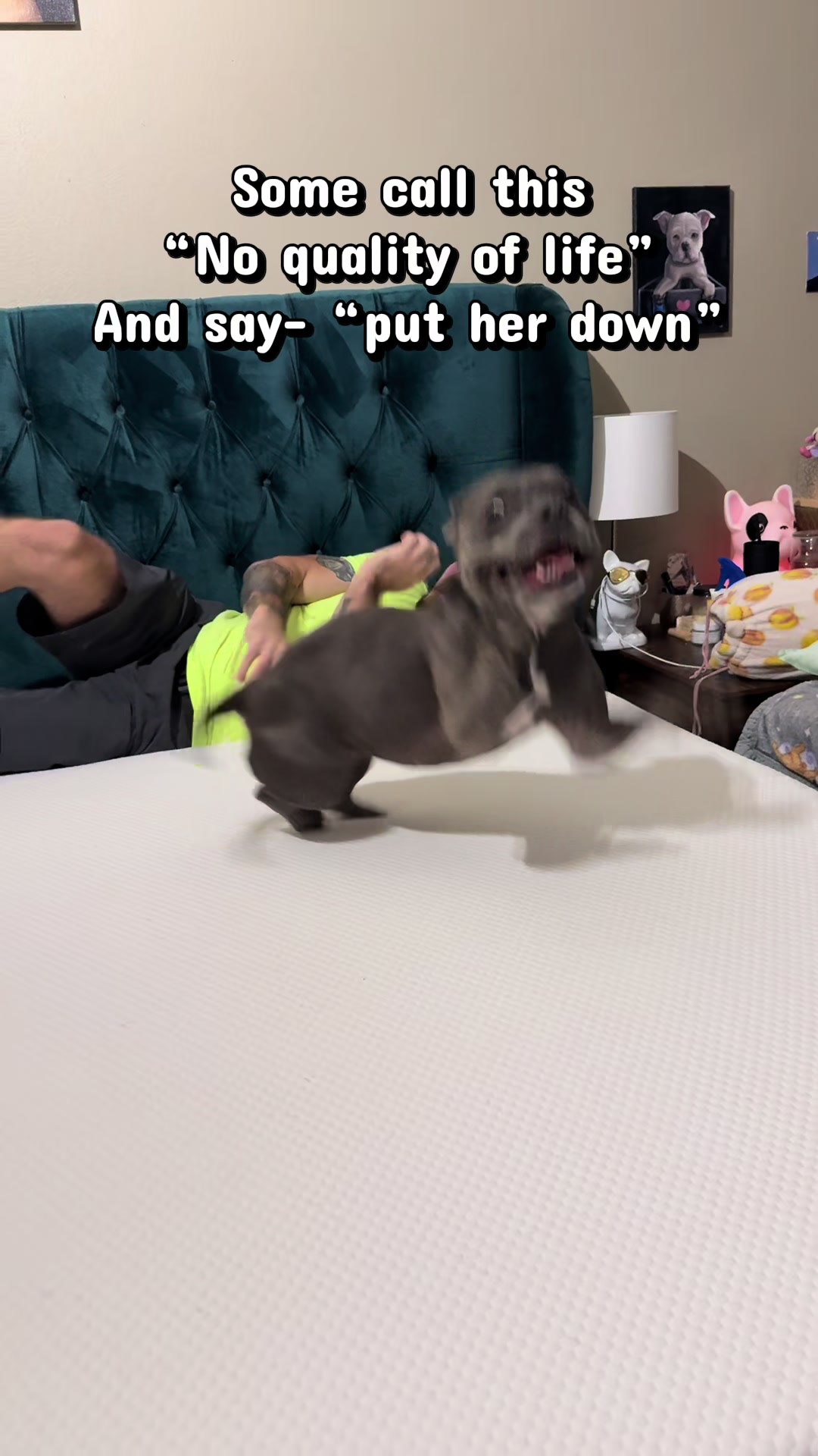 @aka Busted Bully Crew🦛🦿🦭♿️