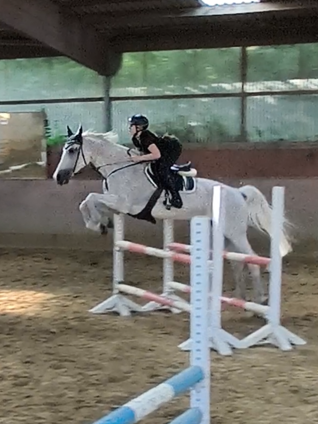 @Spring"Pony"Casha