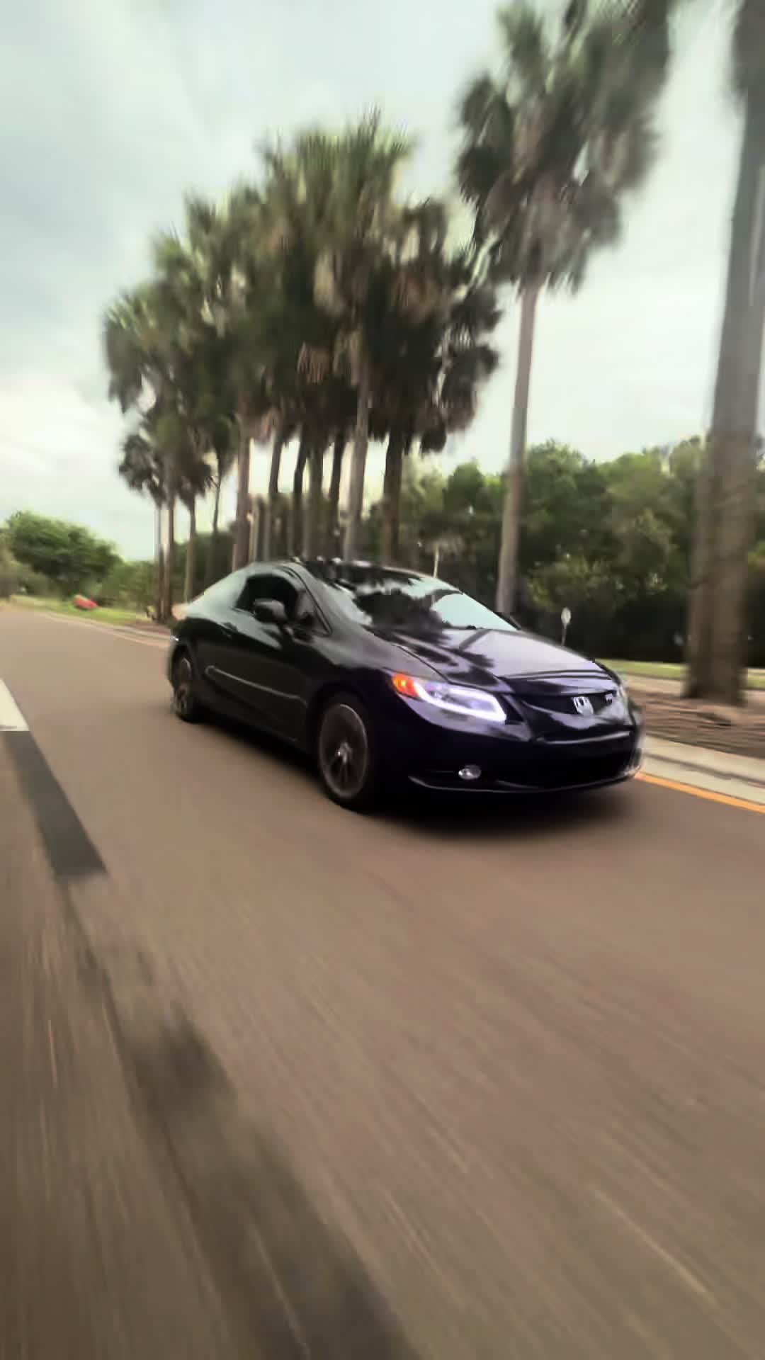 @Trev.si