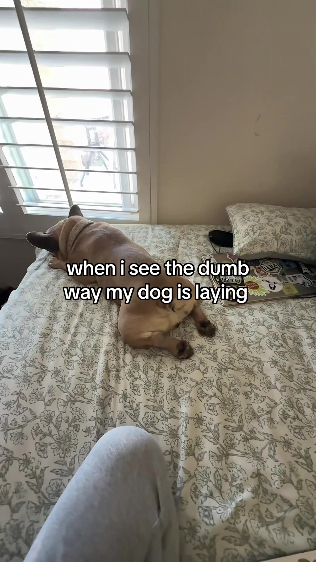 @liketotallynicole