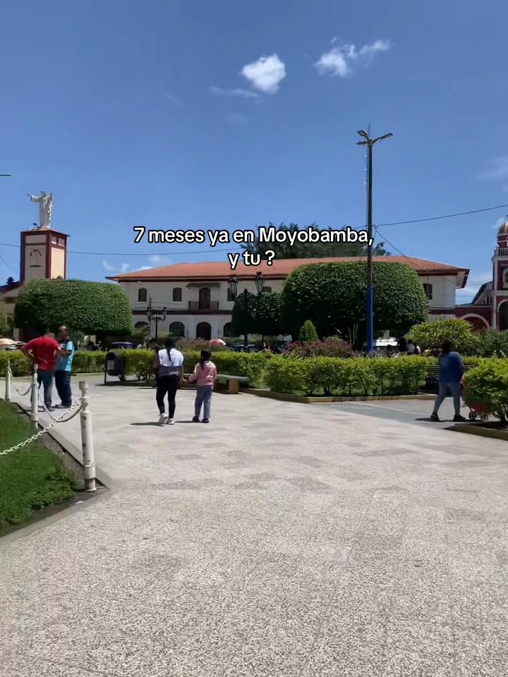 @deyni camizan