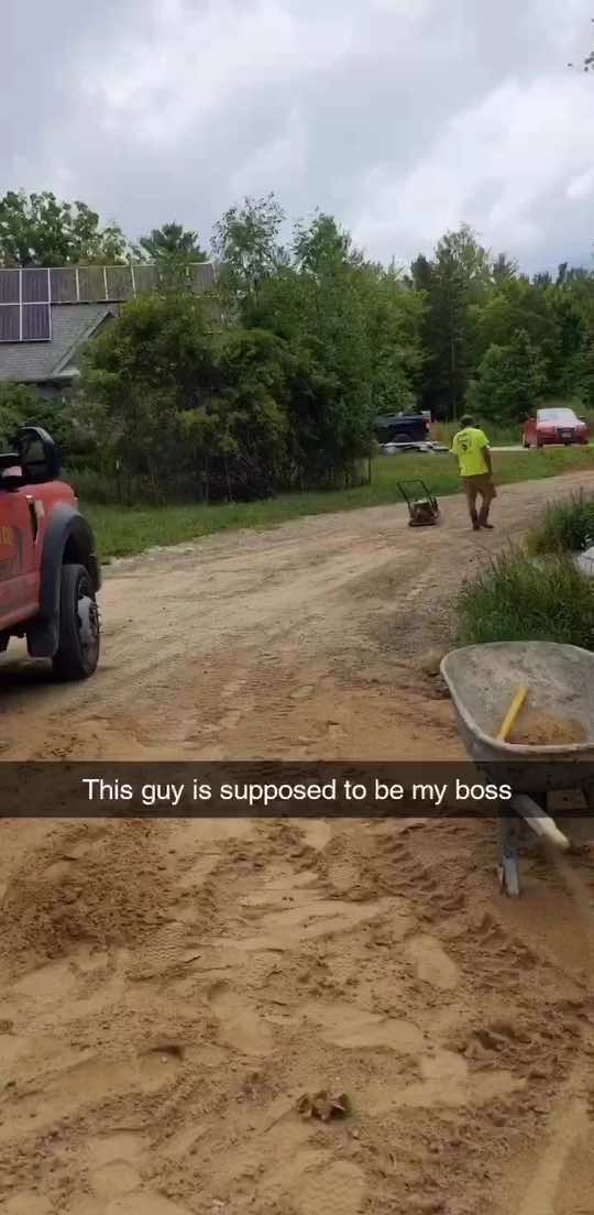 @Big burly gorilla man