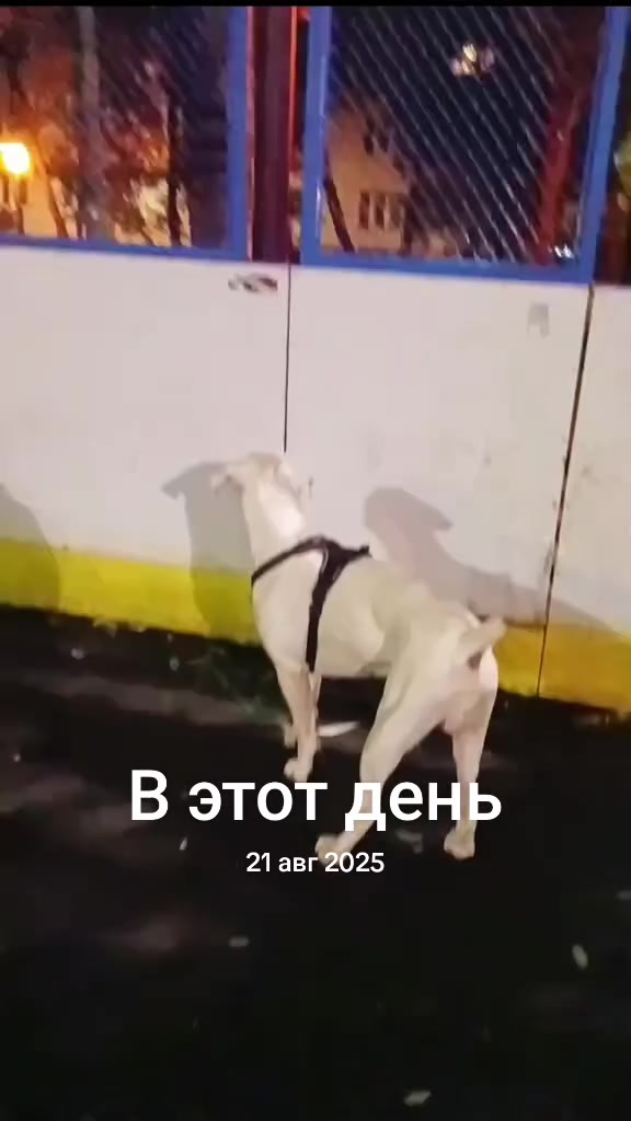 @Мысли вслух