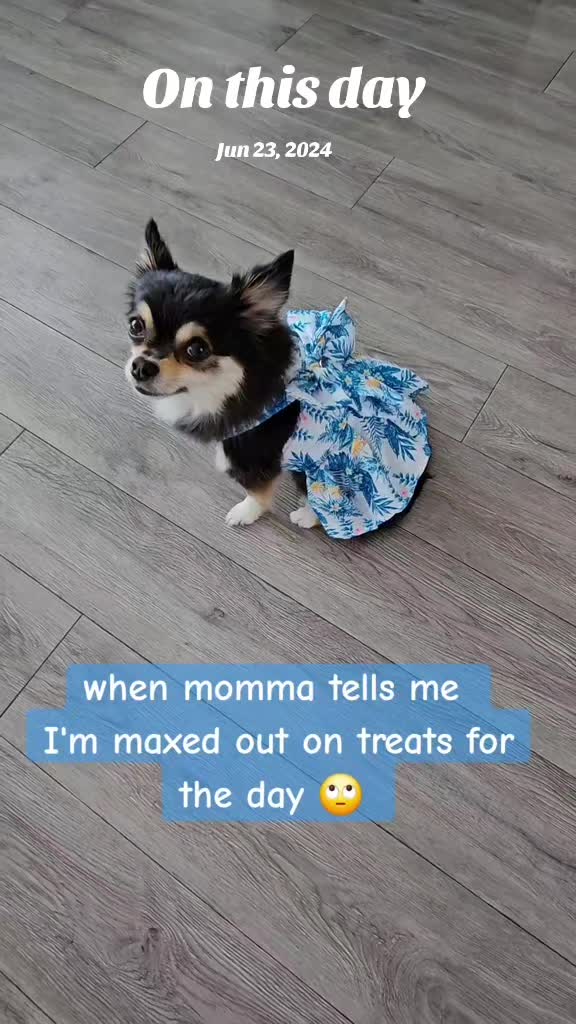 @Pawsha