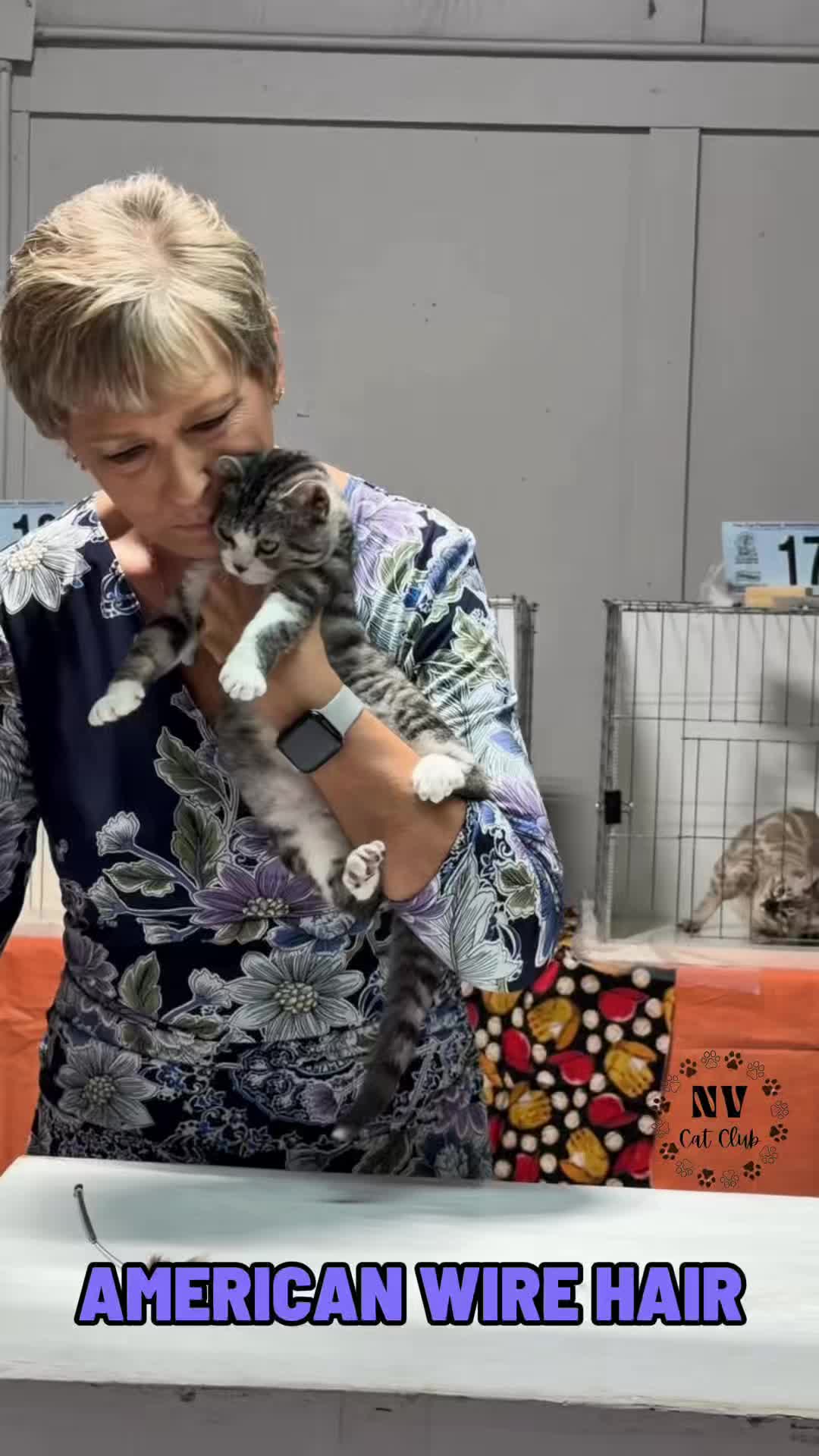 @NewVisionCatClub