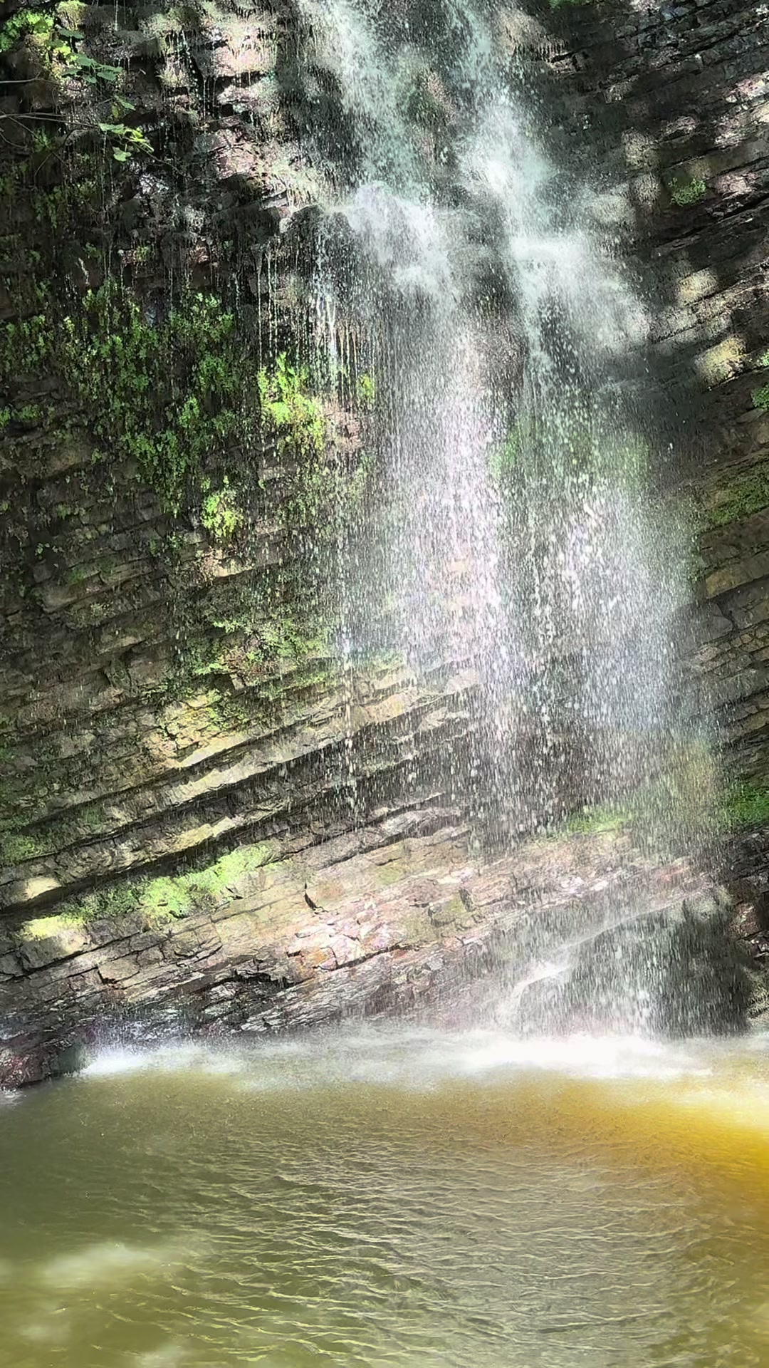 @FⓤCKSHOKƐR