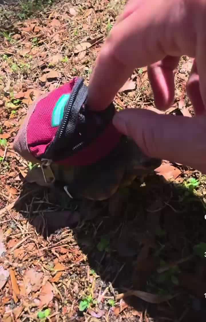 @lmaodose