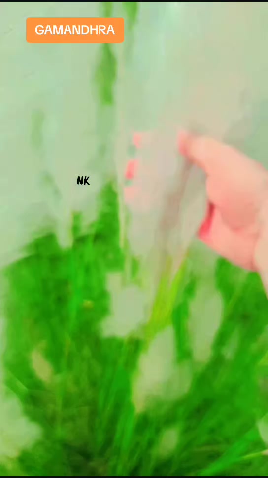 @NK WRITES