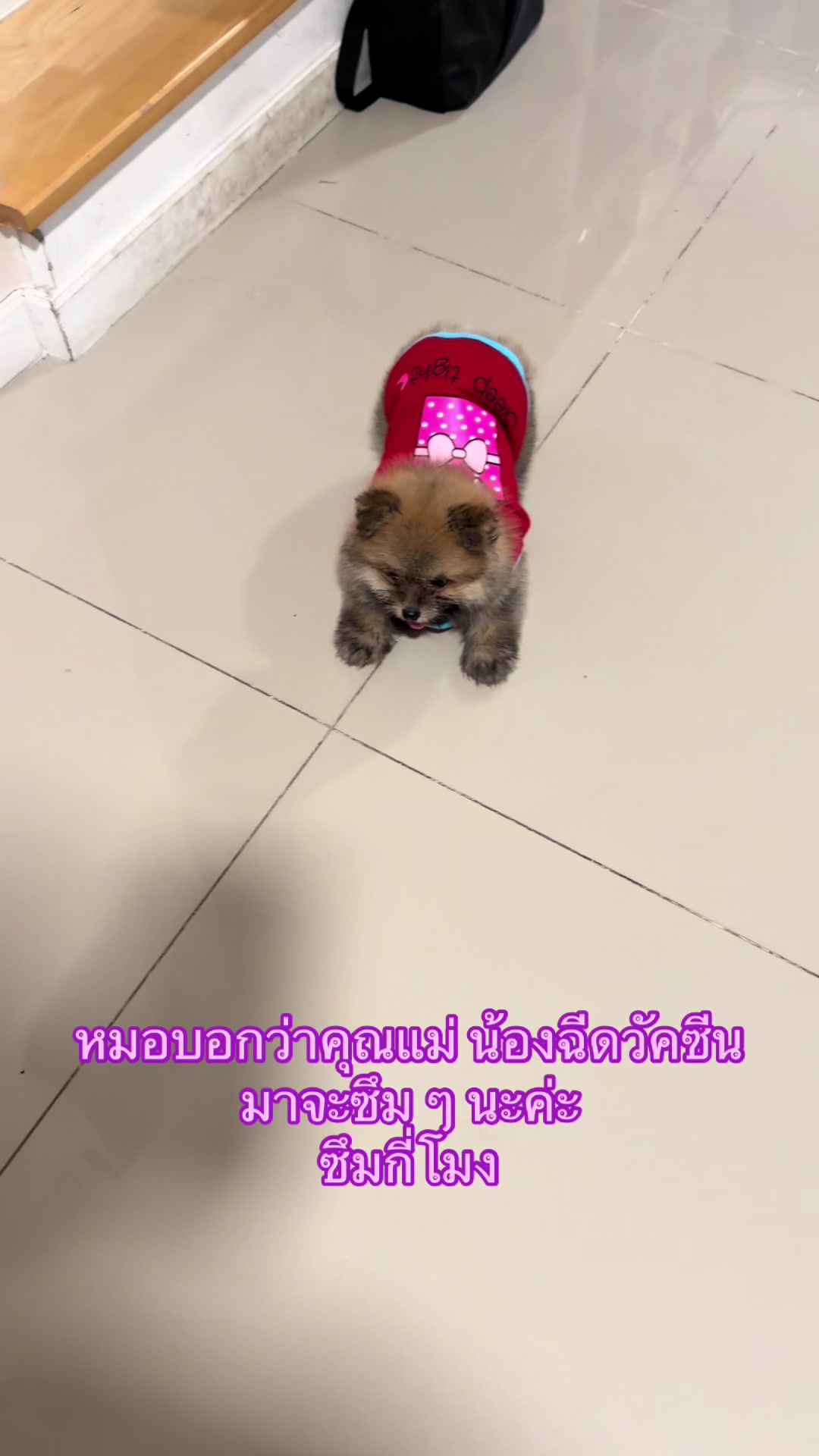 @🐑💫วาย ยู ไอ💫🐑 เข้าใจป่ะ