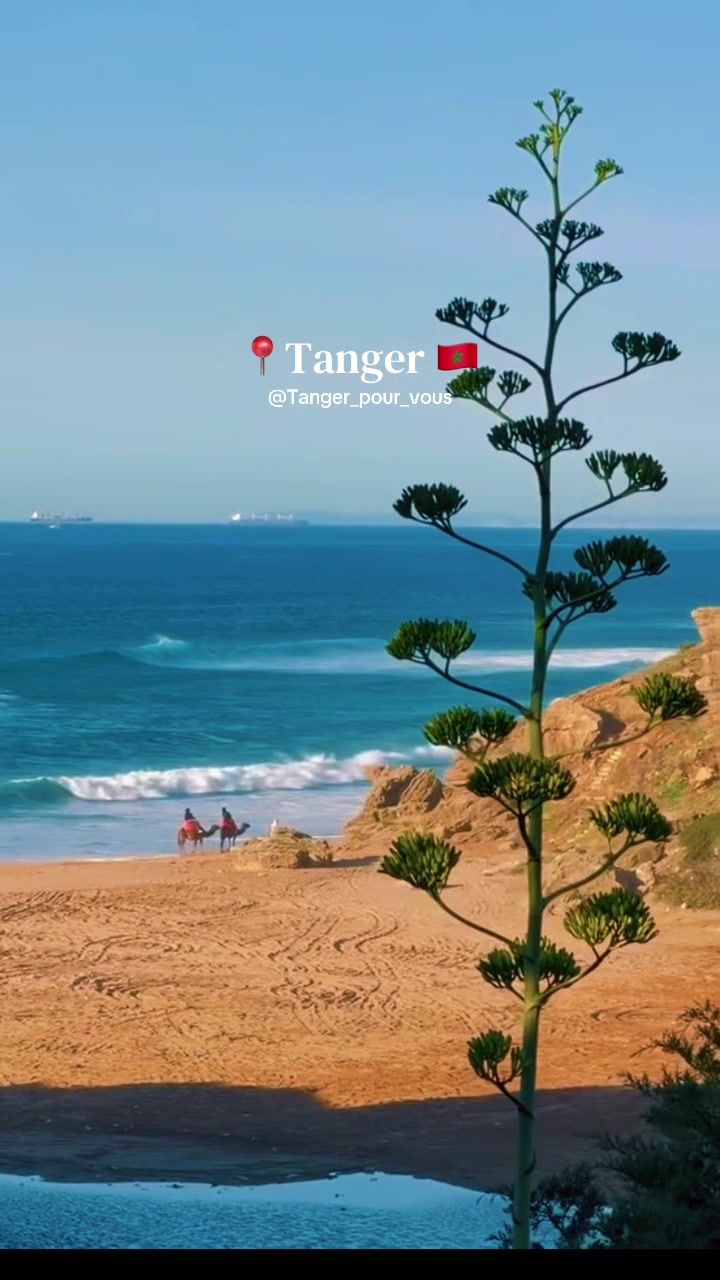 @Tanger_pour_vous ๐ฒ๐ฆ๐ด๐