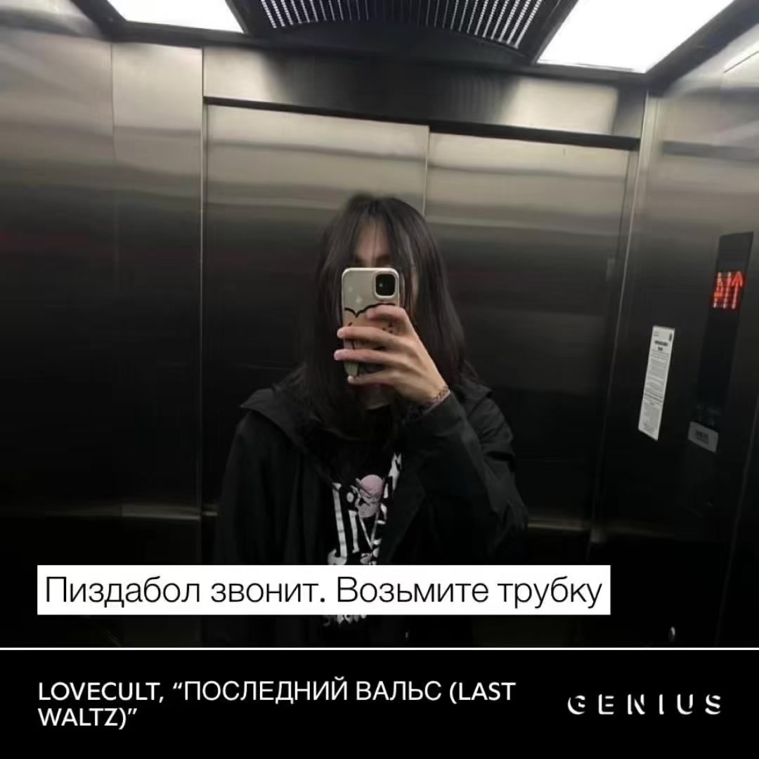 @fevvv