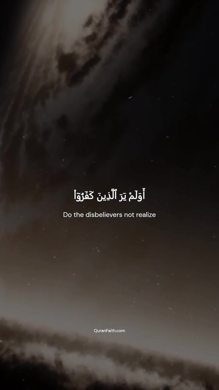 @beliefislm