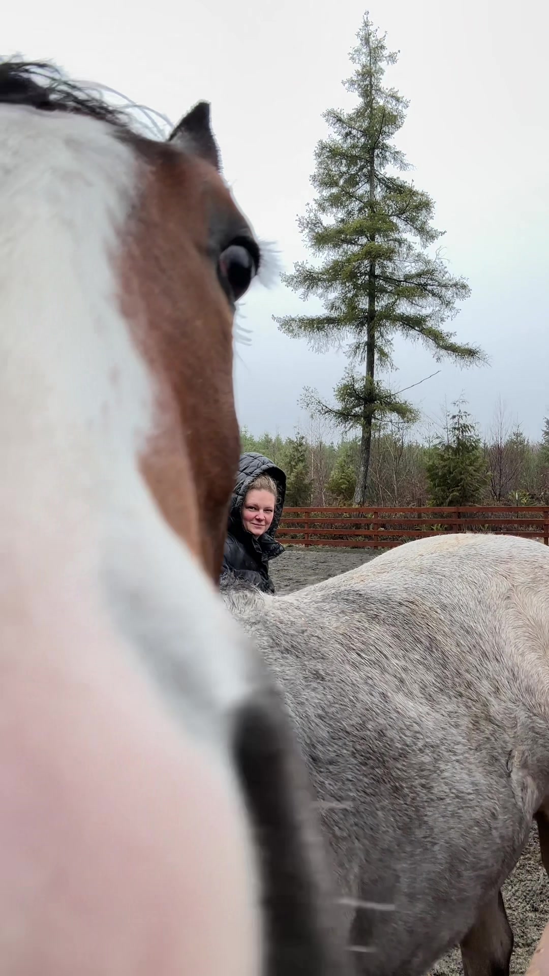 @Cait | Red Mare Owner