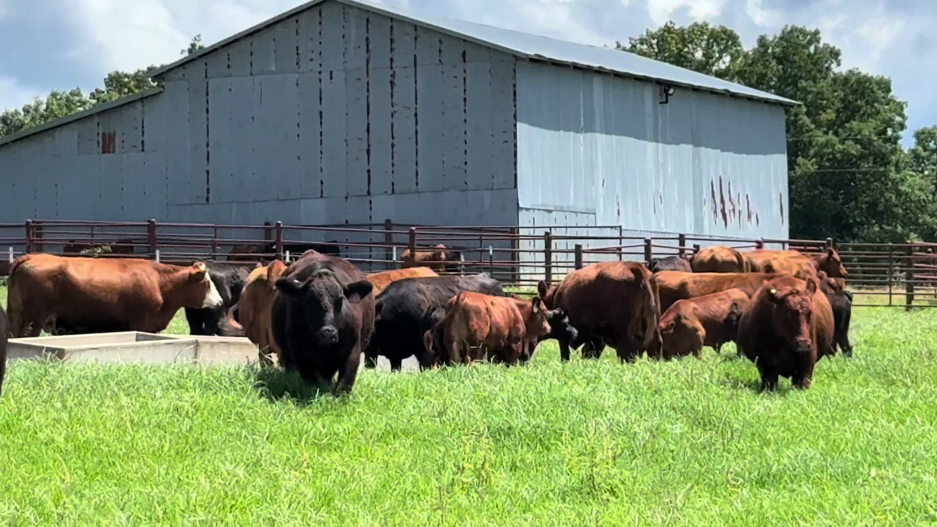 @Massey Land & Cattle