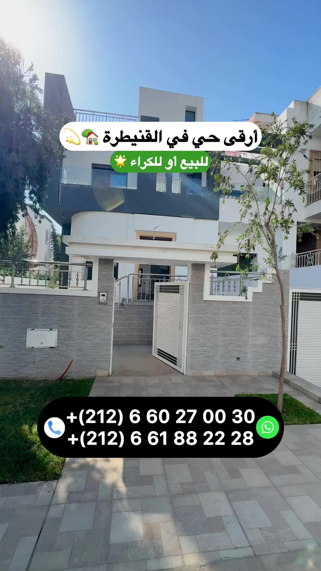 @Zakaria Haddad 🇲🇦🇵🇸