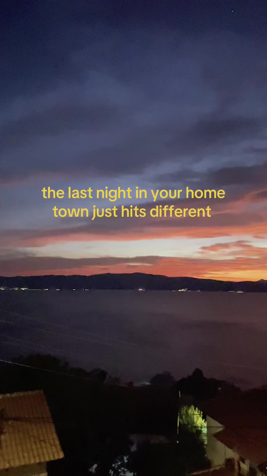 @alegra 🐚