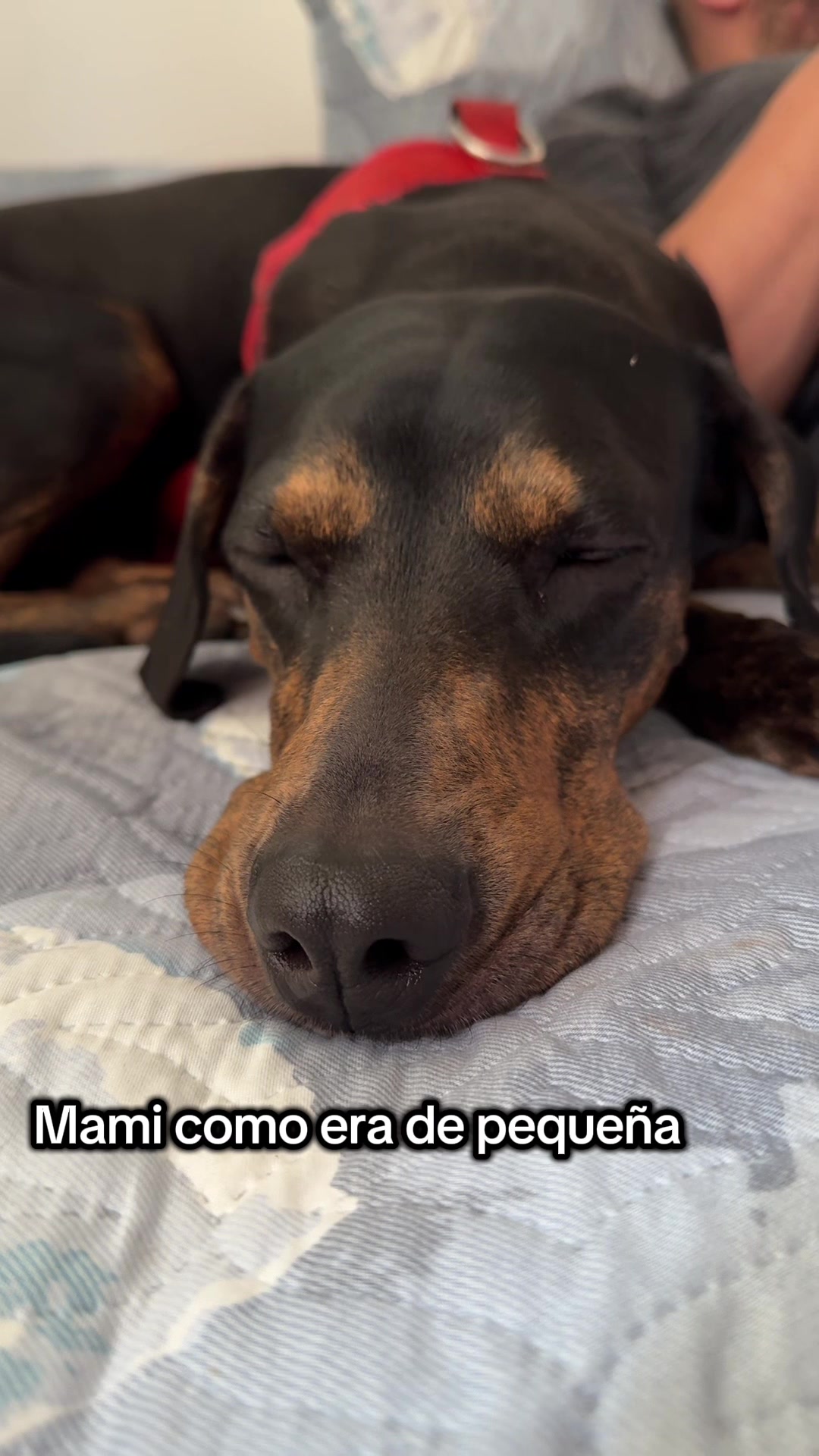@lavida_unviaje