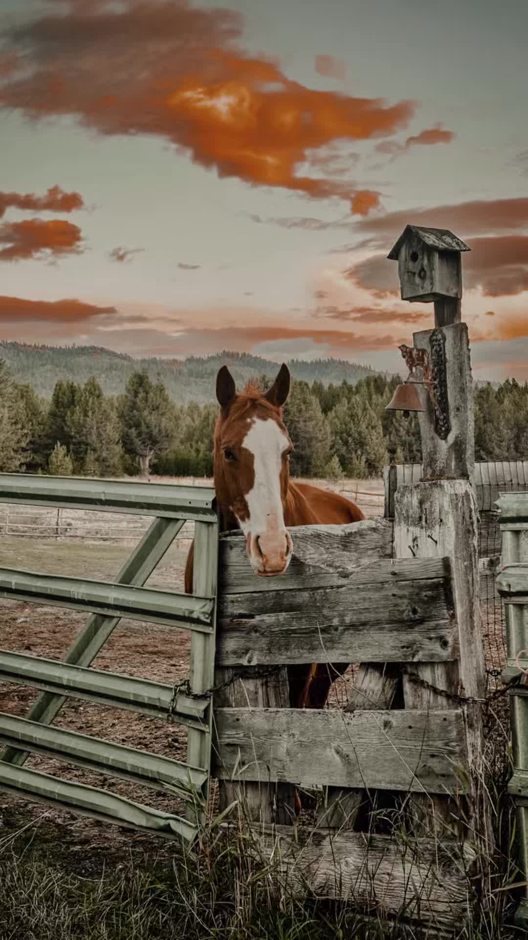 @𝙱𝚛𝚊𝚍𝚒 ♡