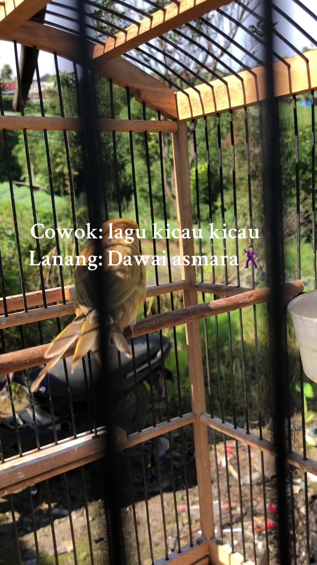 @Akun sudah of