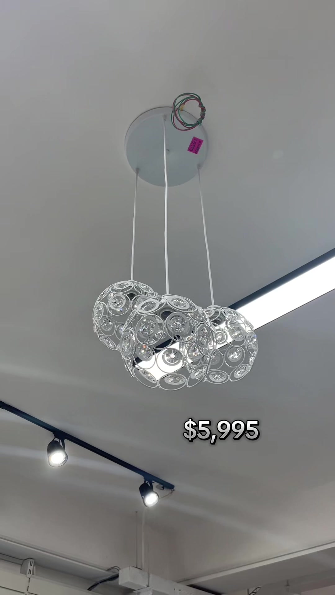 @Topmart Limited-Shannae