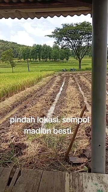@CAH GANTENG