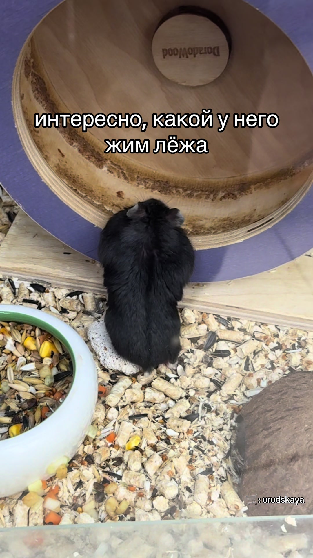 @Ульяша ~ тгк: urudskaya