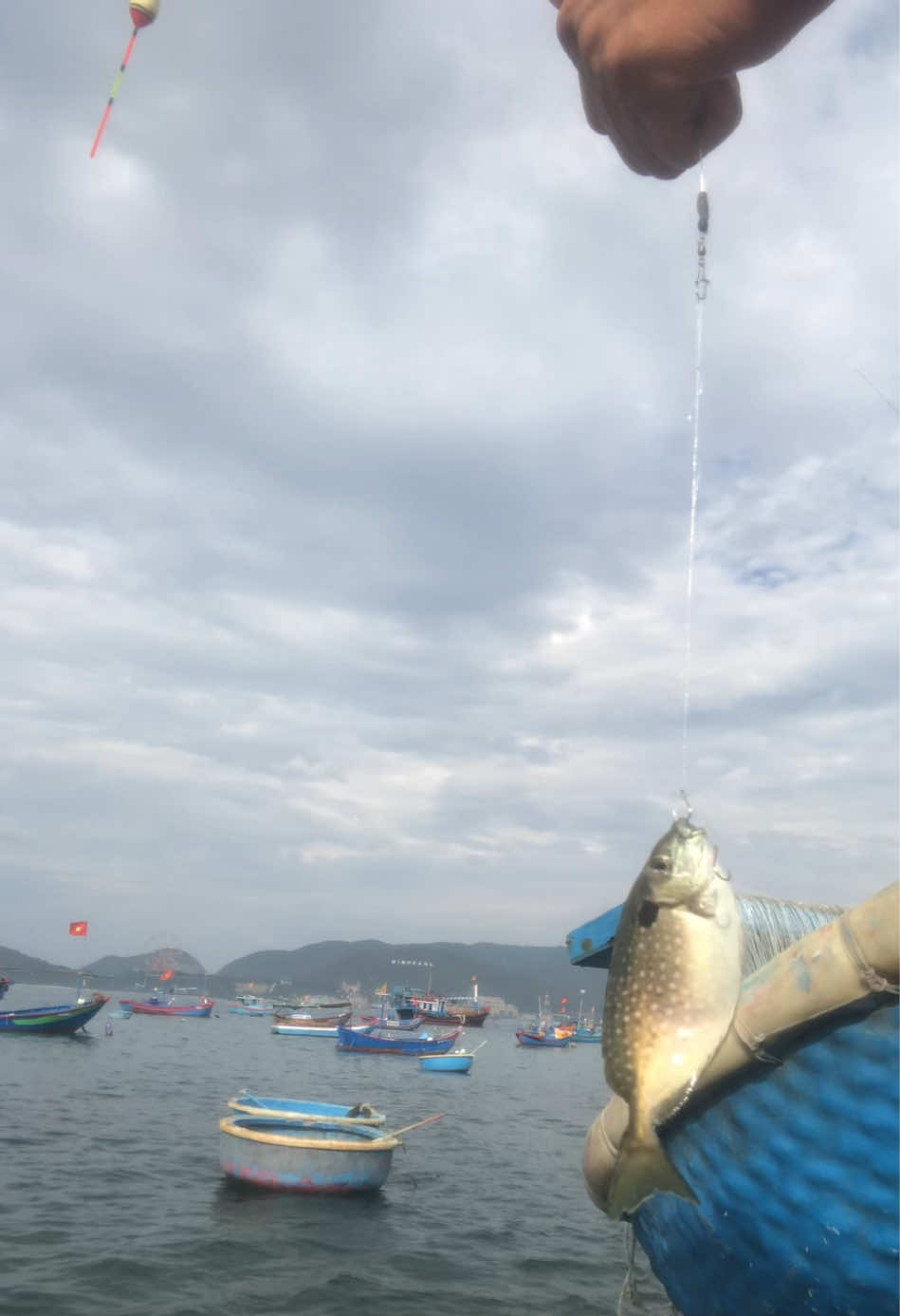 @c&acirc;u c&aacute; Nha Trang