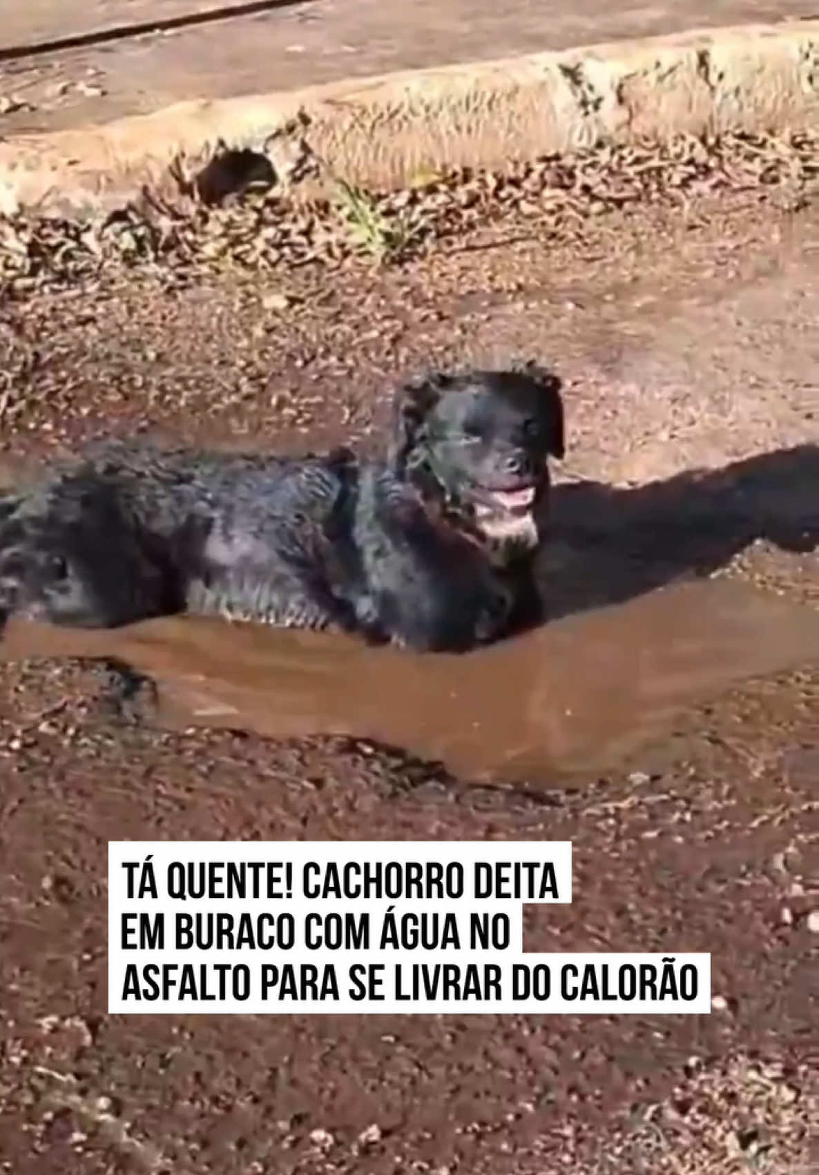 @Metr&oacute;poles Oficial